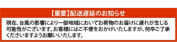 台風の影響により、一部地域で配送遅延が発生する可能性がございます